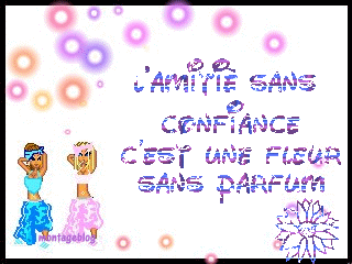 ami(e)s
